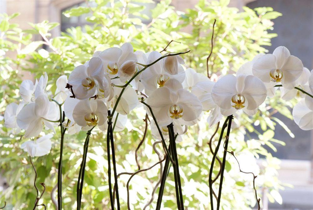 Hotel Korner Louvre Parigi